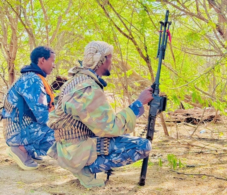 Laba askari oo ka tirsan Daraawiishta Jubbaland.jpg